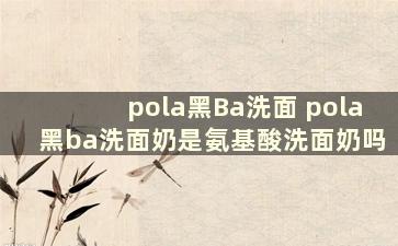 pola黑Ba洗面 pola黑ba洗面奶是氨基酸洗面奶吗